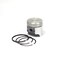 Briggs & Stratton PISTON ASSEMBLY 792365 - alternate 1